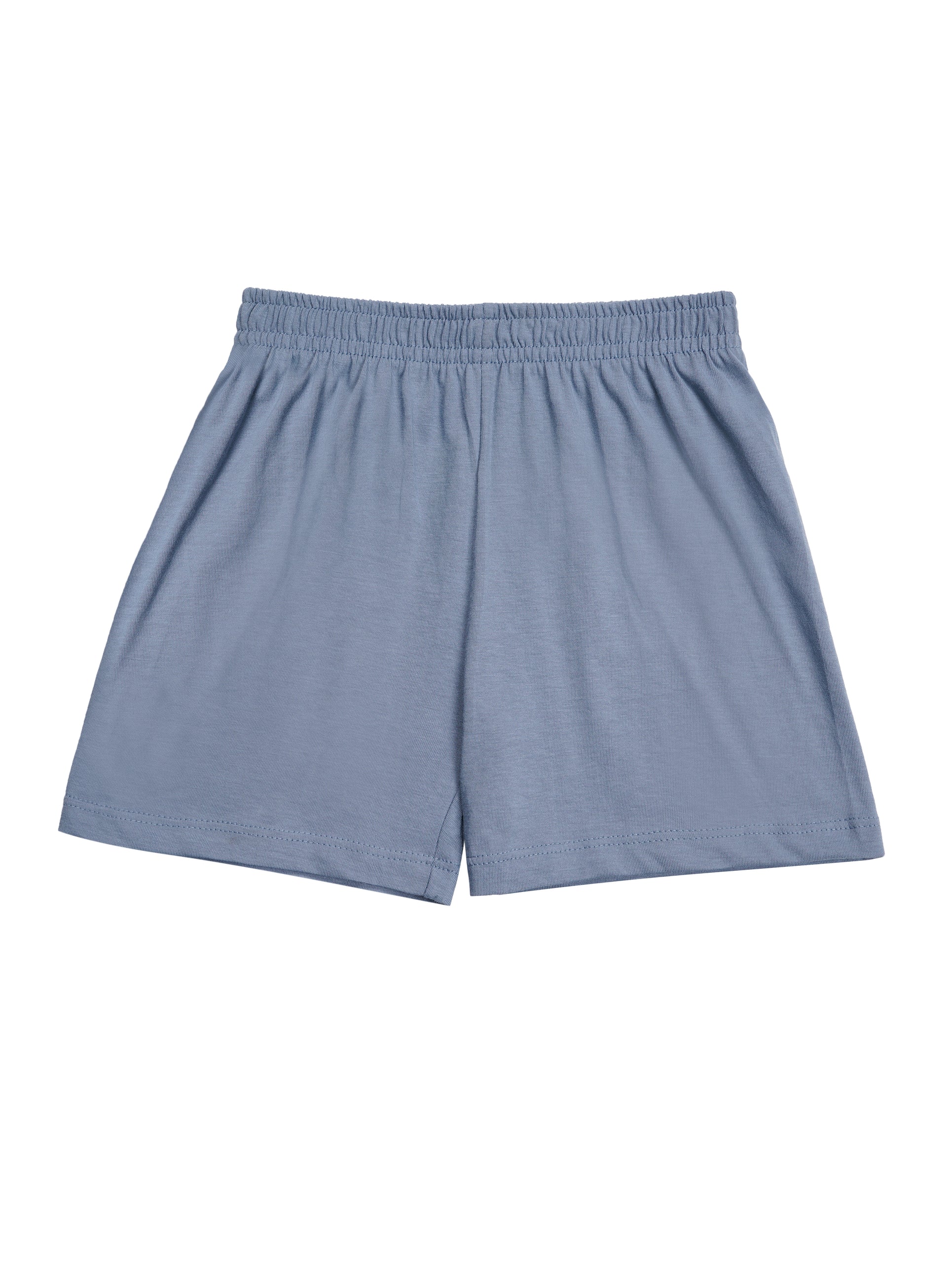 Round Neck T-Shirt with Shorts – Cotton Casual Wear Set (Light Blue & Dino) – Suitable for Kids (2–6 Years)